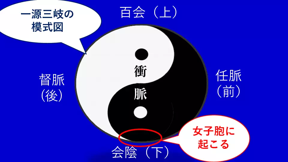 東洋医学へのいざない 生理学編⑧ 臓腑経絡学の世界（奇恒之腑、奇経八